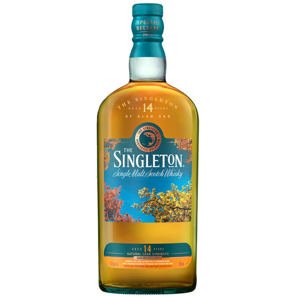 Singleton, 14 Y - Special Release 2024 